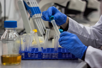 从照片到生命 生物工程技术在影像记录与前沿开发中的融合